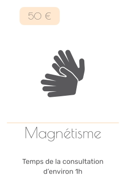 Magnétisme   Temps de la consultation d’environ 1h   50 €